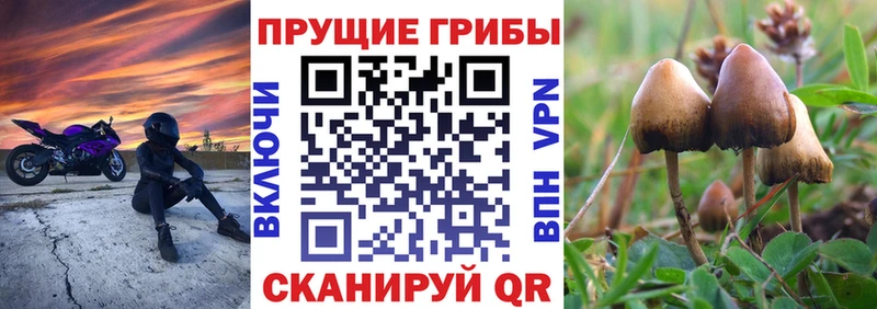Галлюциногенные грибы Magic Shrooms  наркошоп  Липецк 