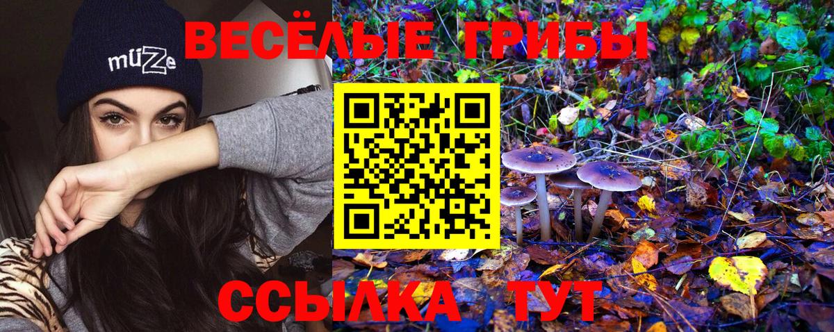 Псилоцибиновые грибы Cubensis  Вход с VPN  Липецк 
